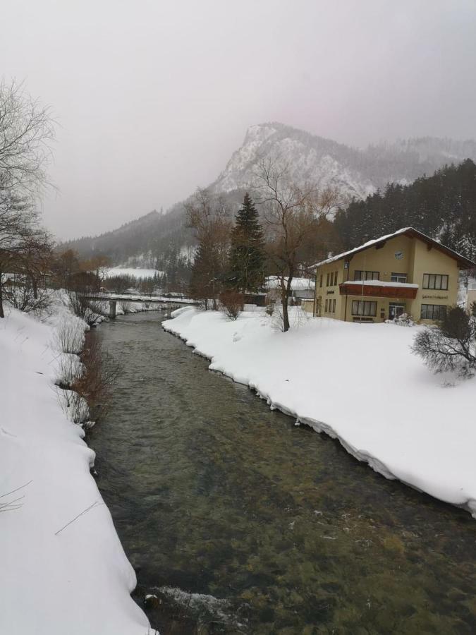 Gasthof Zum Falkenstein Hotel Schwarzau im Gebirge Buitenkant foto